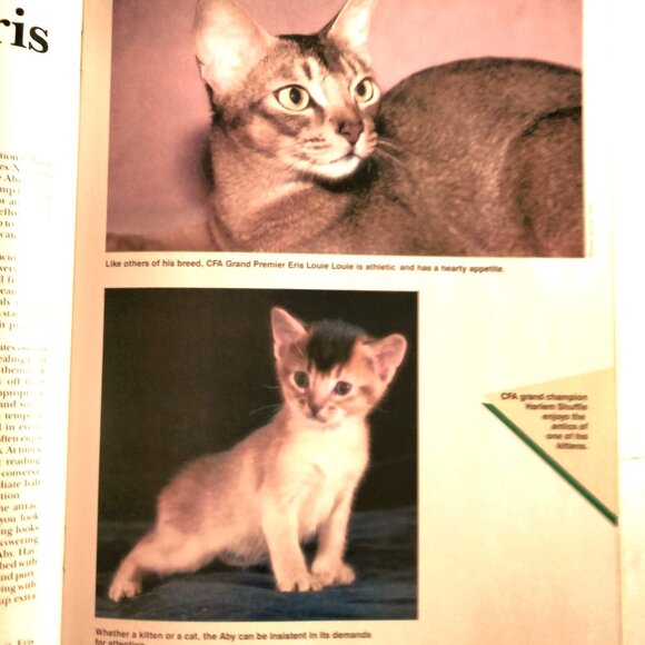 Cat Fancy Magazine Vintage January 1991 - Picture 9 of 9